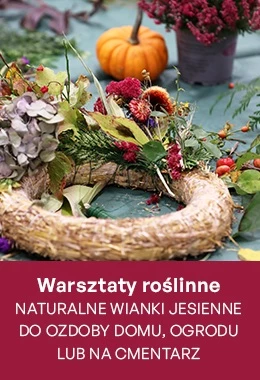Naturalne wianki jesienne do ozdoby domu, ogrodu lub na cmentarz. Warsztaty roślinne 16+